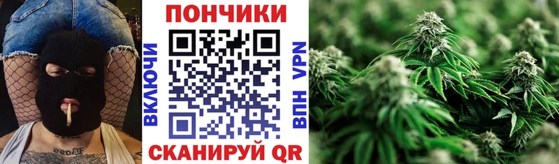 Купить закладку КОКАИН  Марихуана  APVP  ГАШИШ  Меф  Высоковск