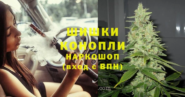 прущие грибы Верея