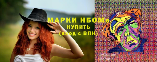 прущие грибы Верея
