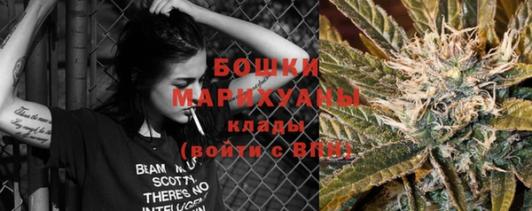 прущие грибы Верея