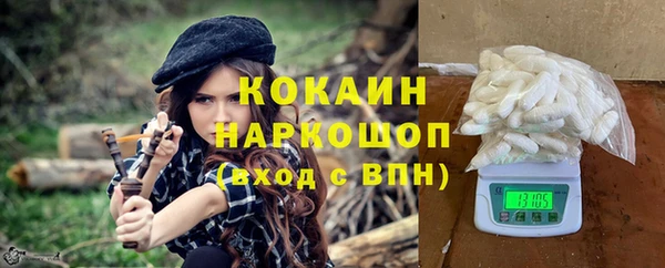 прущие грибы Верея